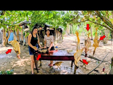 Fartura na Roça é Assim! Muitas Galinhas e Almoço Caprichado no Fogão a Lenha