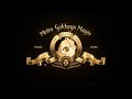 MGM ID 2021