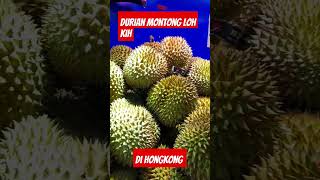 Download lagu ayokk bang belah durian🤭🤭#vlogtkwhongkong #enyofficial #durianmontongdihongkong mp3