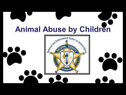 Animal Abuse by Children