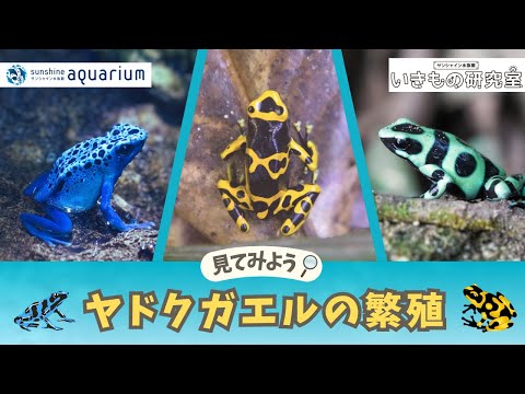 IUCN分類における絶滅の危険性を示す図。