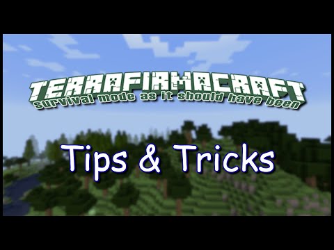 8 Tips And Tricks For Surviving TerraFirmaCraft!