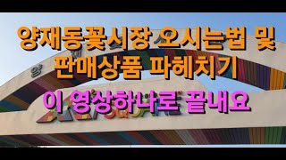 양재꽃시장 찾아오는법 및 판매하는것들 알아봐요~#양재동꽃시장 #양재화훼공판장 #식물튜브 #plant