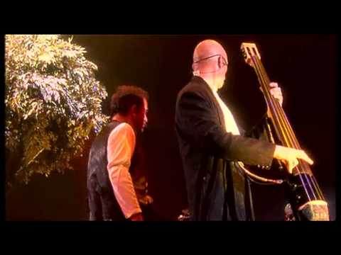 Peter Gabriel Shaking The Tree Live HD