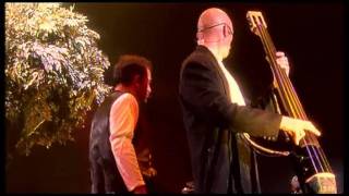 Peter Gabriel Shaking The Tree Live HD Video