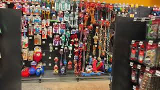 ニュージーランド・オークランドのペットショップ見学