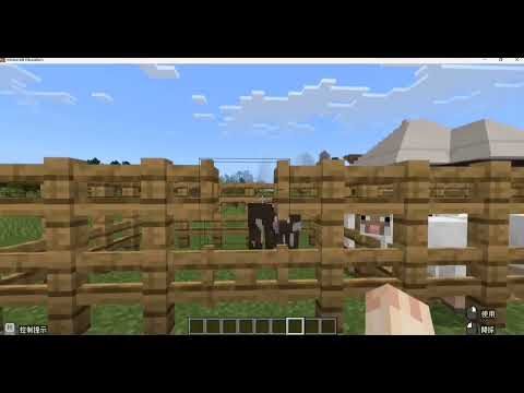 新市國小 麥塊SDGs聯合國永續發展目標 李O儀-麥塊SDGs程式競賽-113學年第一學期