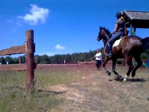 Casino Royal - PEGAZ DZIEMIANY