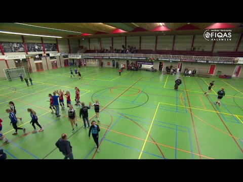 FIQAS/Aalsmeer DC1 - DSS DC1