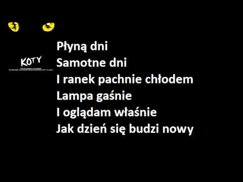 Koty - Pamięć (Memory) lirycs video