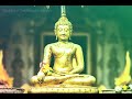 Buddhang Namami Dhammang Namami Sanghang Namami