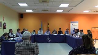 Ple ordinari de 22 de març de 2018 (part 3)