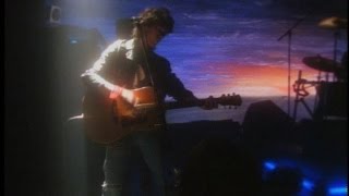 Vilain Pingouin - Marche seul