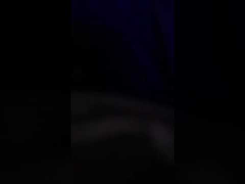 Insane-Yannz [PROD. Yannz]