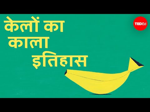केलों का काला इतिहास - जॉन सोलुरी