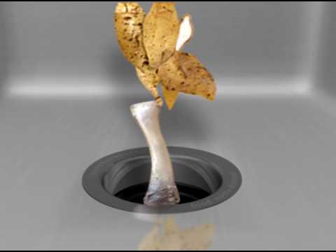 download lagu mp3 mp4 Cover Control Garbage Disposal, download lagu Cover Control Garbage Disposal gratis, unduh video klip Cover Control Garbage Disposal