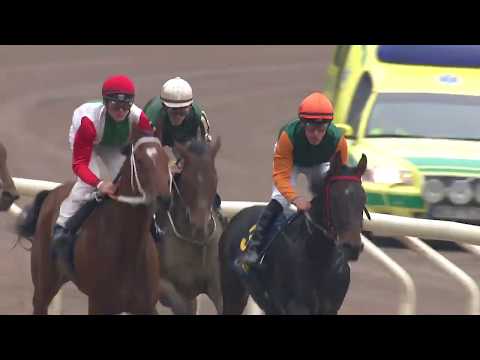 SFK Jubileumslöpning (L) 2019 - Gold Tyranny