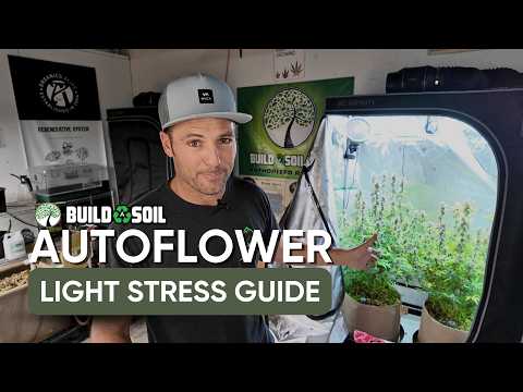 BuildASoil: Day 64 Flower// Autoflower Light Stress Guide