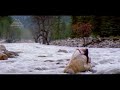 Female Solo Tamil Status Pulveli Pulveli Song