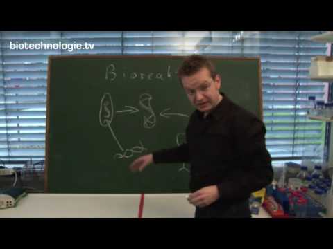 biotechnologie.tv: Folge 5