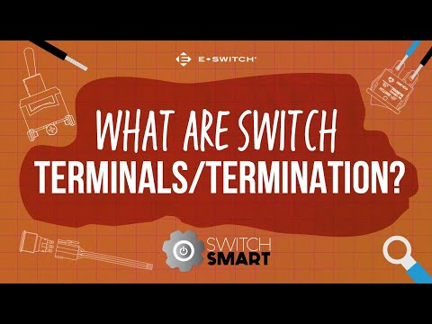 Terminal Switch