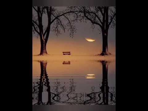 Roxen x Nane strada ta