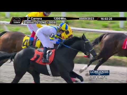 230909 c02 MAN CAMPEIRA