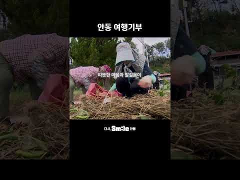 여러분의 발걸음이 안동의 희망이 됩니다. 