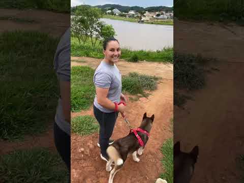 Passeando com os dogs no lago de Taquaral de Goiás #youtubeshorts #taquaralgoias #taquaral