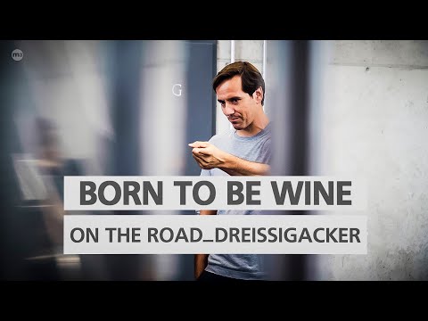BORN TO BE WINE on the road - Zu Besuch im Weingut Dreissigacker