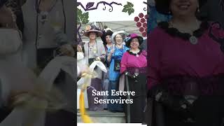 Vídeo promocional Fira del Ví i el Cava