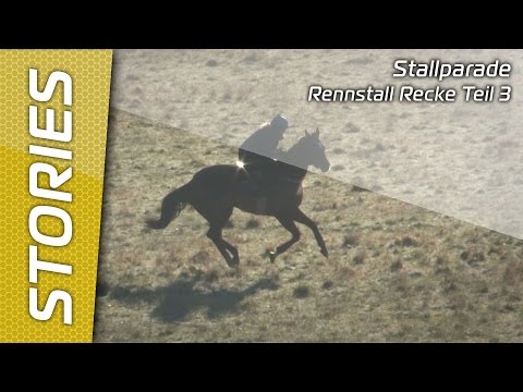 Stallparade - Rennstall Recke 2017 - Teil 3