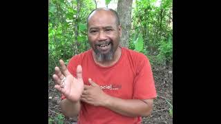 Download lagu Dedolarisasi....(Part 1) Pak Ndul #shorts #trending #lucu #ngakak #komedilucu #humor mp3 Download lagu Dedolarisasi....(Part 1) Pak Ndul #shorts #trending #lucu #ngakak #komedilucu #humor mp3