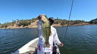 Big Flutter spoon = Big Bass