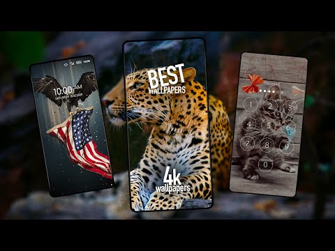 Animals wallpapers for phone Video