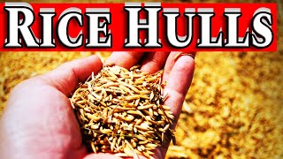Unlocking the Secrets of Rice Hulls: Benefits and Drawbacks for Horticulture