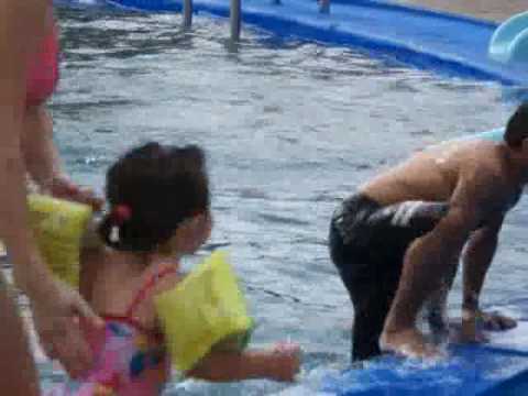 PROYECTO PARA RECUPERAR GUAVIYU / Fue presentado a los FDI