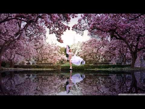 Colonia - Sunčan Dan