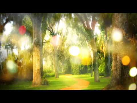 INSECT(con3x,Mateo,Pacek)-Natchnienie