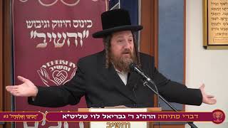 הרה"ג ר' גבריאל לוי שליט"א | ערב "הֲבִינֵנִי וְאֶלְמְדָה" #3 אייר תשפ"ה | אידיש