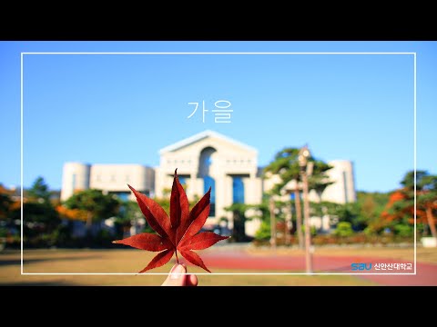 신안산의 가을 - 신안산대학교 SAU University YouTube Thumbnail