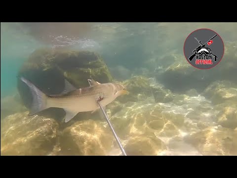 SE1EP026  ISLA GRANDE FISHING ADVENTURE | PAGBILAO, QUEZON