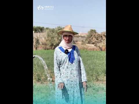 شهادة فلاح 3