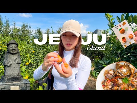 4 days in Jeju, Korea (without a car) | orange picking season & what I ate