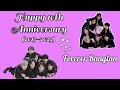 BTS 10th Anniversary BTS Anniversary 2023 10yearswithbts 2023btsfesta