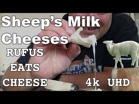 Sheep's Milk Cheeses - Feta, Ossau Iraty, Pecorino, La Retorta - Episode 1 - Rufus Eats Cheese