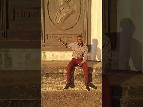 Usafira mafufu segonzo