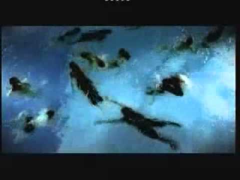 Como Te Quiero - TLD Written by A.J.Sun