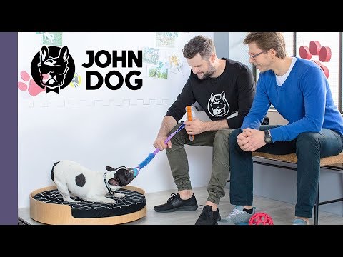 Wymuszanie – CASE STUDY – John Dog