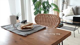 【3days vlog】のんびりと過ごす初夏の日常、最近やめたふたつのこと | Living alone diaries